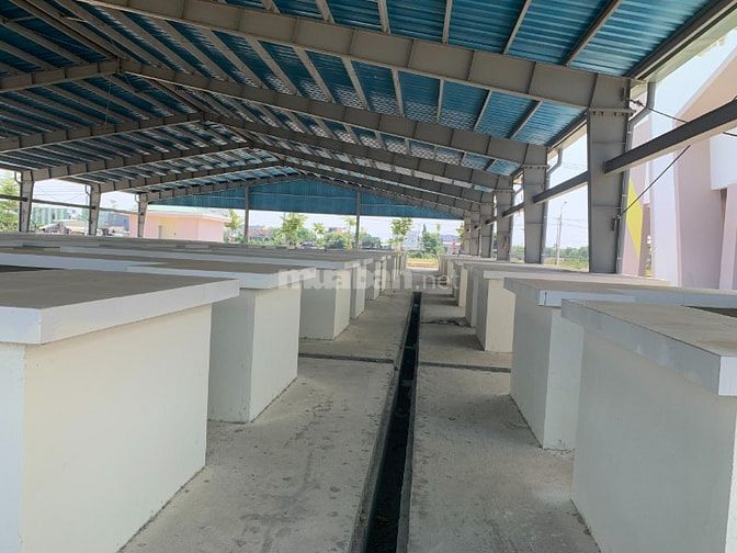 Chỉ 580 triệu (30%) sở hữu ngay lô đất tại khu Phố chợ Chiên Đàn, CK đ