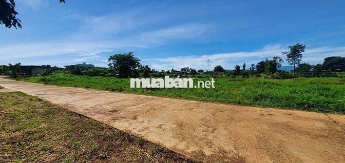 Bán đất nền xã Eakly 2 lô liền kề