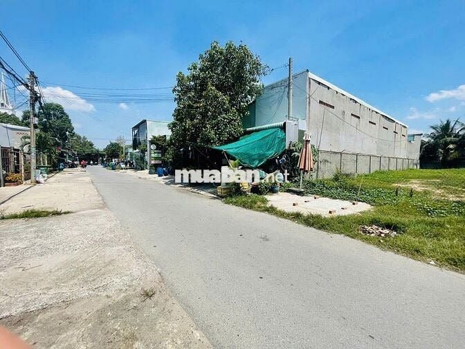 LÔ NGỘP HIẾM 7,5X43 GIÁ 620TR MẶT TIỀN TRẦN TỬ BÌNH, SHR, ĐƯỜNG NHỰA