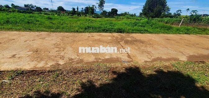 Bán đất nền xã Eakly 2 lô liền kề