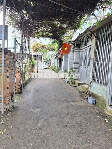 Đất (ngang 6,3m)Đông Thành phường Tân Đông Hiệp Tp Dĩ An