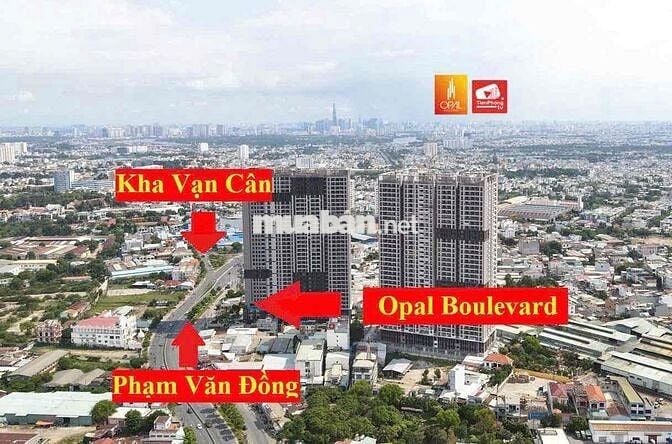 Bán 2 căn Shophouse vị trí VIP (thông nhau), Tổng diện thích 162,4m2,