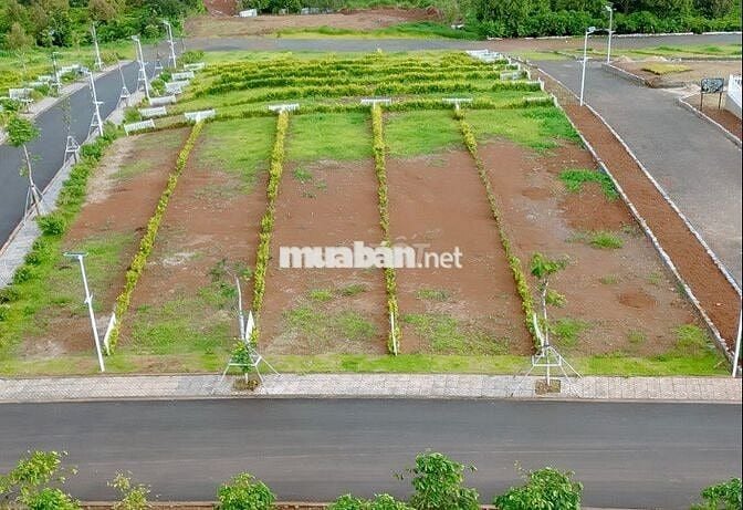 CHÍNH CHỦ CẦN TIỀN bán 629tr Đất Di Linh Sổ Hồng, Vay 65%, View