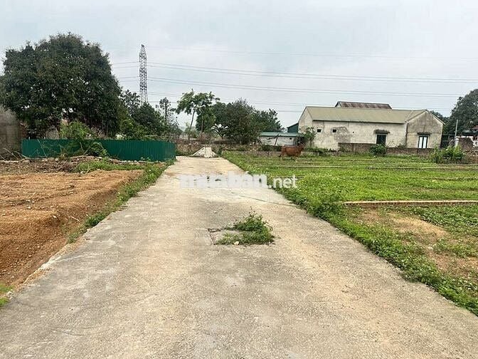 🔥🔥PHÂN LÔ - Ô TÔ TẢI - VỊ TRÍ VÀNG - FULL THỔ CƯ - ĐẦU TƯ SINH LỜI 🔥🔥PHÂN LÔ - Ô TÔ TẢI - VỊ TRÍ VÀNG - FULL THỔ CƯ - ĐẦU TƯ SINH LỜI