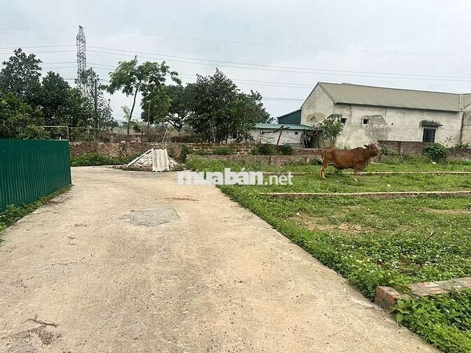 🔥🔥PHÂN LÔ - Ô TÔ TẢI - VỊ TRÍ VÀNG - FULL THỔ CƯ - ĐẦU TƯ SINH LỜI 🔥🔥PHÂN LÔ - Ô TÔ TẢI - VỊ TRÍ VÀNG - FULL THỔ CƯ - ĐẦU TƯ SINH LỜI