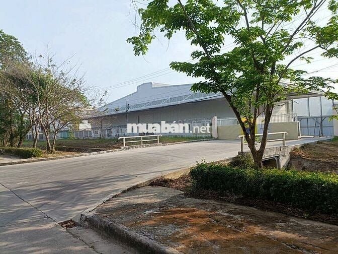 Bán kho xưởng 5.000m2 , KCN Hải Sơn Đức Hòa , Long An , PCCC tự động