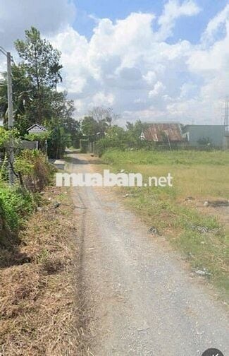 cần bán lô đất 164.5m fun thổ cư giá chỉ 2ty300 tại tân bình dĩ an tp