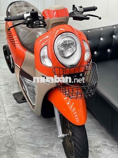 ⭐️ 𝗤𝘂𝗮́ 𝗠𝗼̛́𝗶 (𝗦𝗰𝗼𝗼𝗽𝘆 𝟮𝟬𝟮𝟰 𝗣𝗵𝗶𝗲̂𝗻 𝗕𝗮̉𝗻 Đ𝗼̣̂ 𝗛𝗮̃𝗻𝗴)