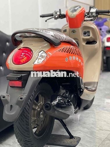 ⭐️ 𝗤𝘂𝗮́ 𝗠𝗼̛́𝗶 (𝗦𝗰𝗼𝗼𝗽𝘆 𝟮𝟬𝟮𝟰 𝗣𝗵𝗶𝗲̂𝗻 𝗕𝗮̉𝗻 Đ𝗼̣̂ 𝗛𝗮̃𝗻𝗴)