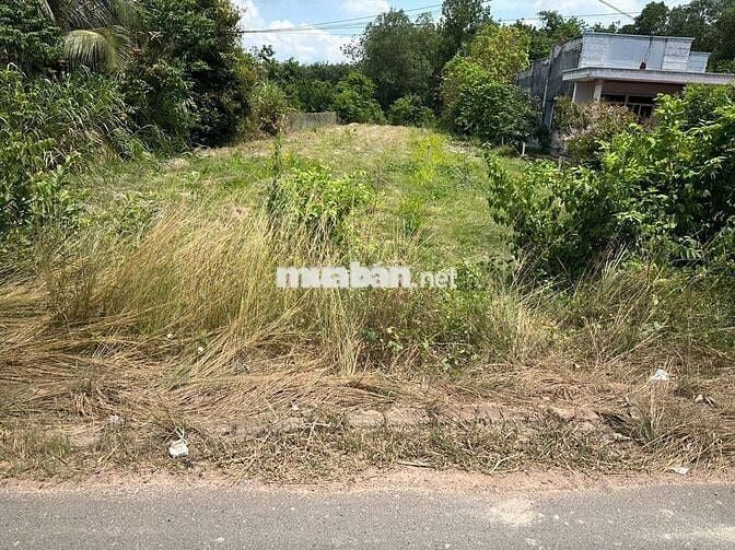 CHÍNH CHỦ CẦN BÁN LÔ ĐẤT Ở HUYỆN CHÂU THÀNH, TÂY NINH, MT đường HL2