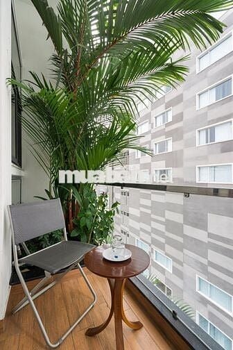 🏡 CĂN HỘ RỘNG ĐẸP 30M² – NGAY HỒ VĂN HUÊ, PHÚ NHUẬN – FULL TIỆN ÍCH 🏡