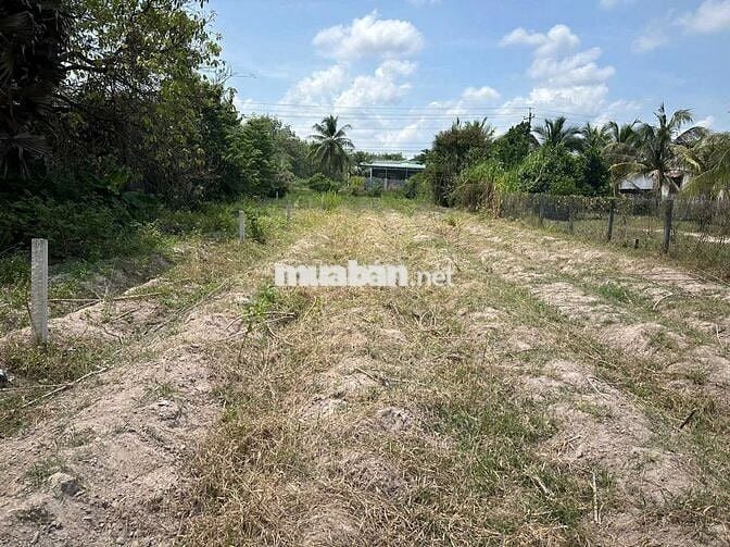 CHÍNH CHỦ CẦN BÁN LÔ ĐẤT Ở HUYỆN CHÂU THÀNH, TÂY NINH, MT đường HL2