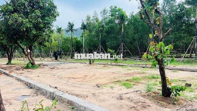 540m2 gần hồ sở bông phước hải đã xây cổng rào giá 3 tỷ 100