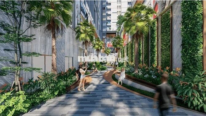 Cho thuê chính chủ căn hộ chung cư tại HT Pearl Dĩ An, 2 phòng ngủ 2wc