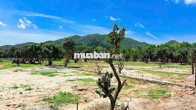 540m2 gần hồ sở bông phước hải đã xây cổng rào giá 3 tỷ 100