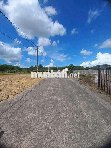 BÁN ĐẤT THỊ TRẤN PHƯỚC HẢI - TP HCM.DT 133m2(5×27) SÁT ĐT 996C