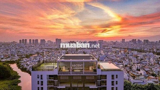 căn hộ 1pn gần phú mỹ hưng q7 ascent lakeside quận 7 sổ lâu dài