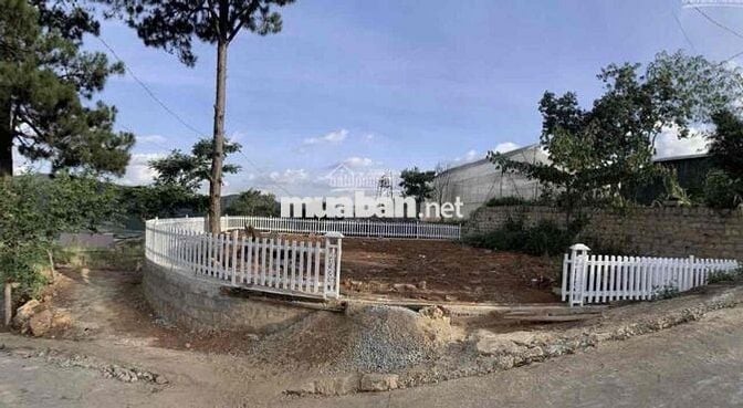 NGỘP GIẢM 50% Bán Đất Đèo Mimosa P10 đà Lạt 700trieu Có Sổ Sang Tên