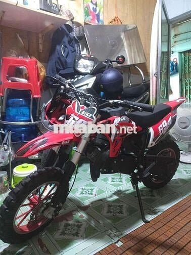 Xe cào cào mini 50cc