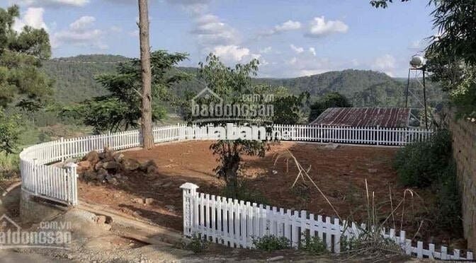 NGỘP GIẢM 50% Bán Đất Đèo Mimosa P10 đà Lạt 700trieu Có Sổ Sang Tên