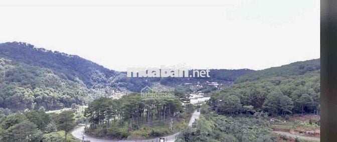 NGỘP GIẢM 50% Bán Đất Đèo Mimosa P10 đà Lạt 700trieu Có Sổ Sang Tên