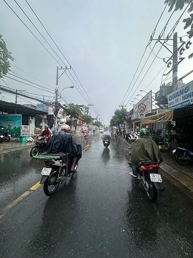 Tỉnh Lộ 10 BTT,.5 Tầng hiện đại,. 50m2, 5PN, 6Wc, HXh 6m, Giá 7,15 Tỷ.