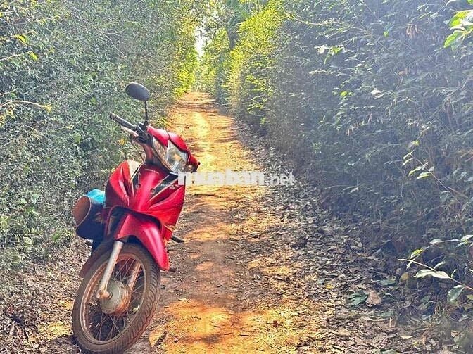 🌈Bán 2 sào 2 Thôn 1 Đạt Lí 🌈