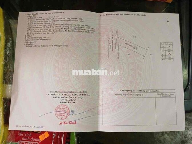 Đất hẻm 117 Mạc Đỉnh Chi 5x22 thổ cư giá 2tỷ500tr