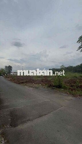 BÁN SỈ 6 LÔ ĐẤT LONG PHƯỚC – NGAY QUỐC LỘ 51, GẦN SÂN BAY LONG THÀNH