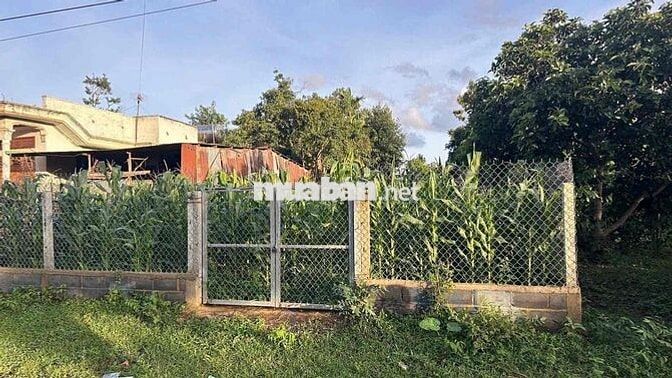 💟Bán lô đất đường N6 Buôn Ju , phường Tân An ,  đường rộng 12m 💟