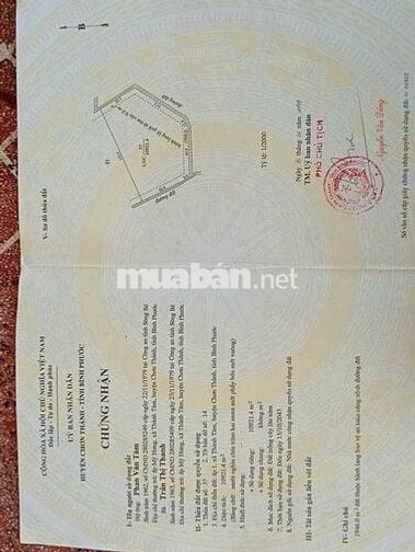 BÁN ĐẤT MẶT TIỀN NGAY QUỐC LỘ HCM