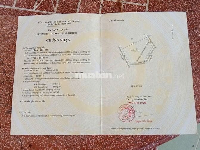 BÁN ĐẤT MẶT TIỀN NGAY QUỐC LỘ HCM