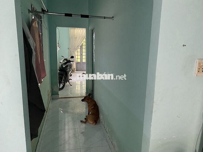 CHO THUÊ NHÀ NGUYÊN CĂN TẠI ẤP 7,XÃ PHẠM VĂN HAI,BÌNH CHÁNH