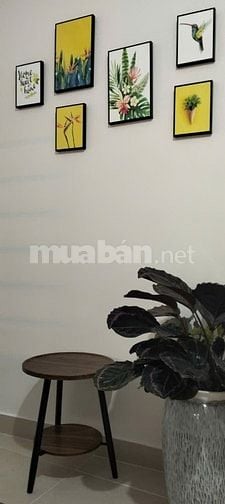 Nhà Phạm Văn Bạch 4,3x14m, trệt + lửng, sổ hồng riêng, gần sân bay