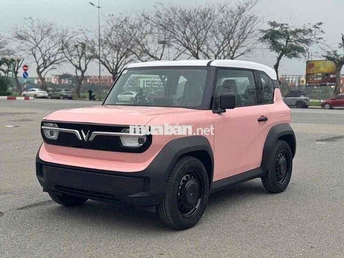 Sở hữu VinFast VF 3 chỉ với giá từ 4X triệu