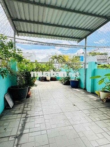 Nhà mặt tiền 5 tang KD ngay chợ (3m x 10m) Phó Cơ Điều q11