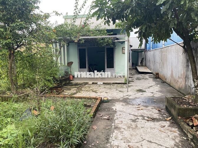 CHO THUÊ NHÀ NGUYÊN CĂN TẠI ẤP 7,XÃ PHẠM VĂN HAI,BÌNH CHÁNH