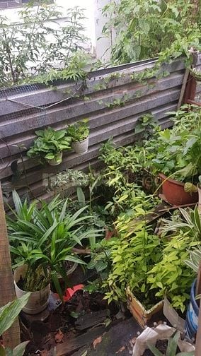 Bán Nhà khu vực Biên Hoà, Tiện nghi đầy đủ