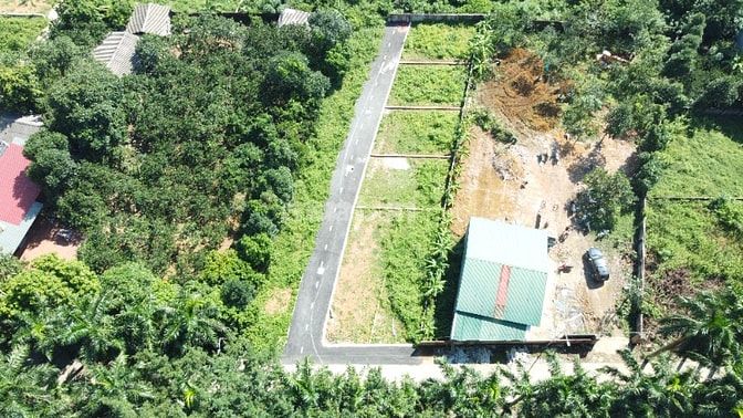 💥 Thân gửi Quý A/C thông tin 11 LÔ HÀNG CAU 💥