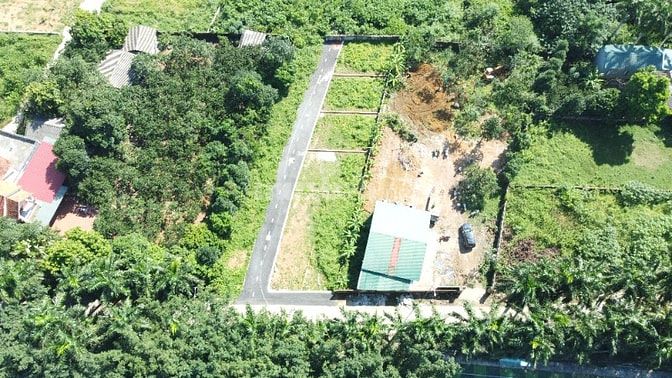 💥 Thân gửi Quý A/C thông tin 11 LÔ HÀNG CAU 💥