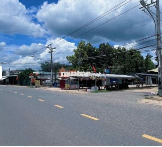 Chủ ngộp cần ra nhanh lô đất MT DH504 32M, SHR - giá chỉ 290tr