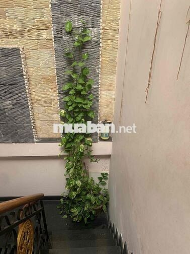 Nhà Nguyễn Tư Giãn cho thuê nguyên căn diện tích sử dụng 150m2-