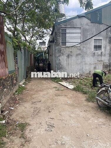 Bán đất vi bằng Thạch Cầu, Long Biên