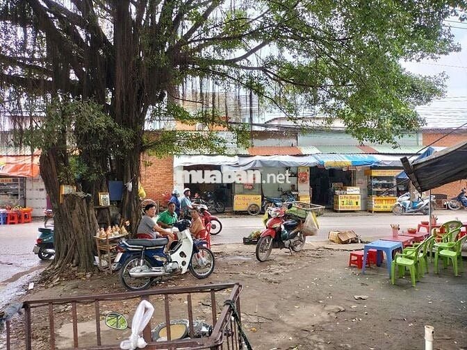 Loaloa siêu ẩm sang gấp đầu tư 900t hạ còn 329t đang kd thu nhập 60t/