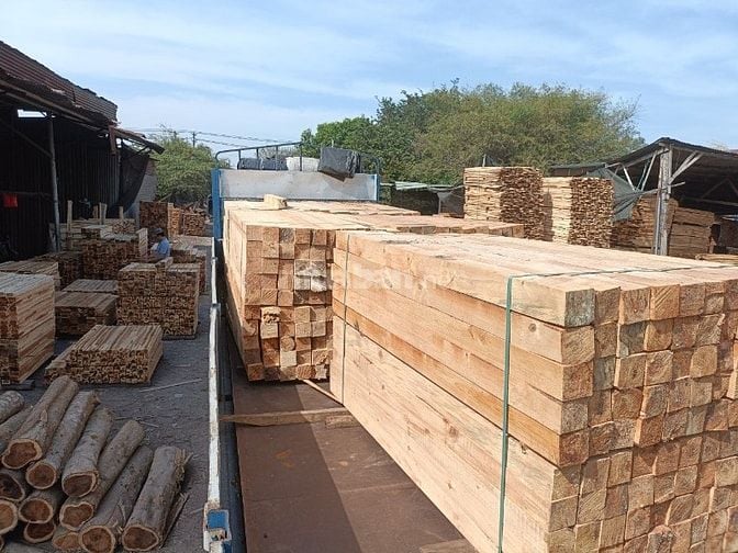 Bán gỗ Dầu, Sao, Căm se, Thông, Keo tràm... xẻ theo qui cách yêu cầu