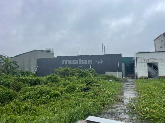 Chính chủ bán nhà đất Ngõ 18 Thôn Siêu Quần, Tả Thanh Oai, Thanh Trì, 