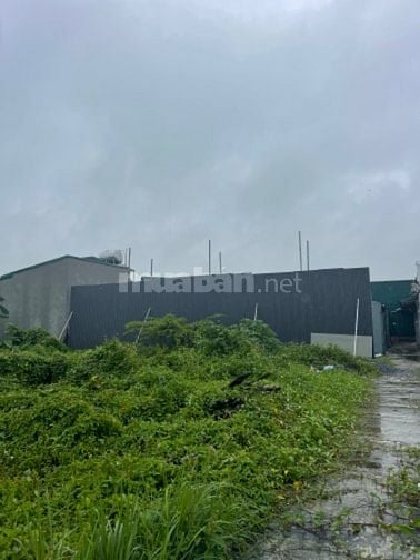 Chính chủ bán nhà đất Ngõ 18 Thôn Siêu Quần, Tả Thanh Oai, Thanh Trì, 