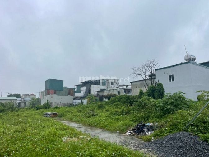 Chính chủ bán nhà đất Ngõ 18 Thôn Siêu Quần, Tả Thanh Oai, Thanh Trì, 