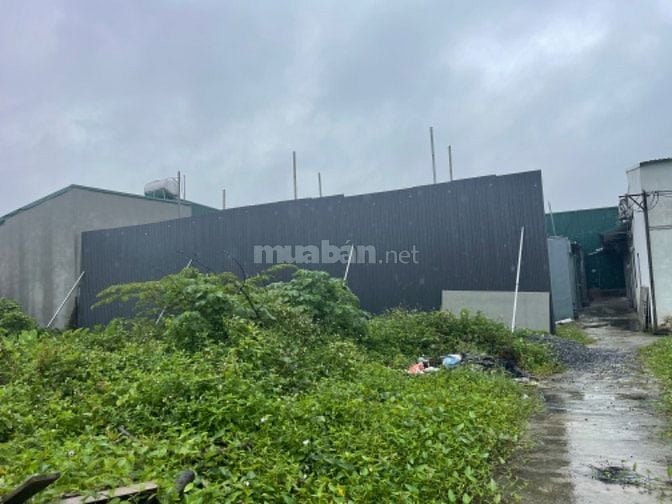 Chính chủ bán nhà đất Ngõ 18 Thôn Siêu Quần, Tả Thanh Oai, Thanh Trì, 