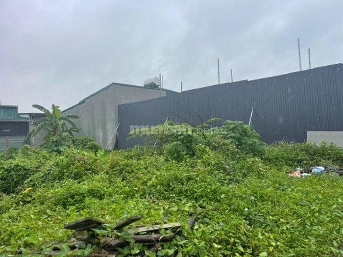 Chính chủ bán nhà đất Ngõ 18 Thôn Siêu Quần, Tả Thanh Oai, Thanh Trì, 